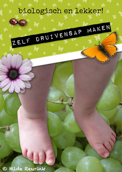 zelf biologisch druivensap maken, illustratieve collage bij artikel