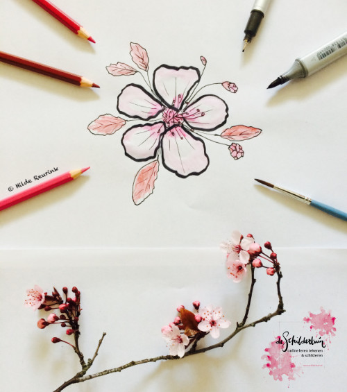 tekening van roze bloesem