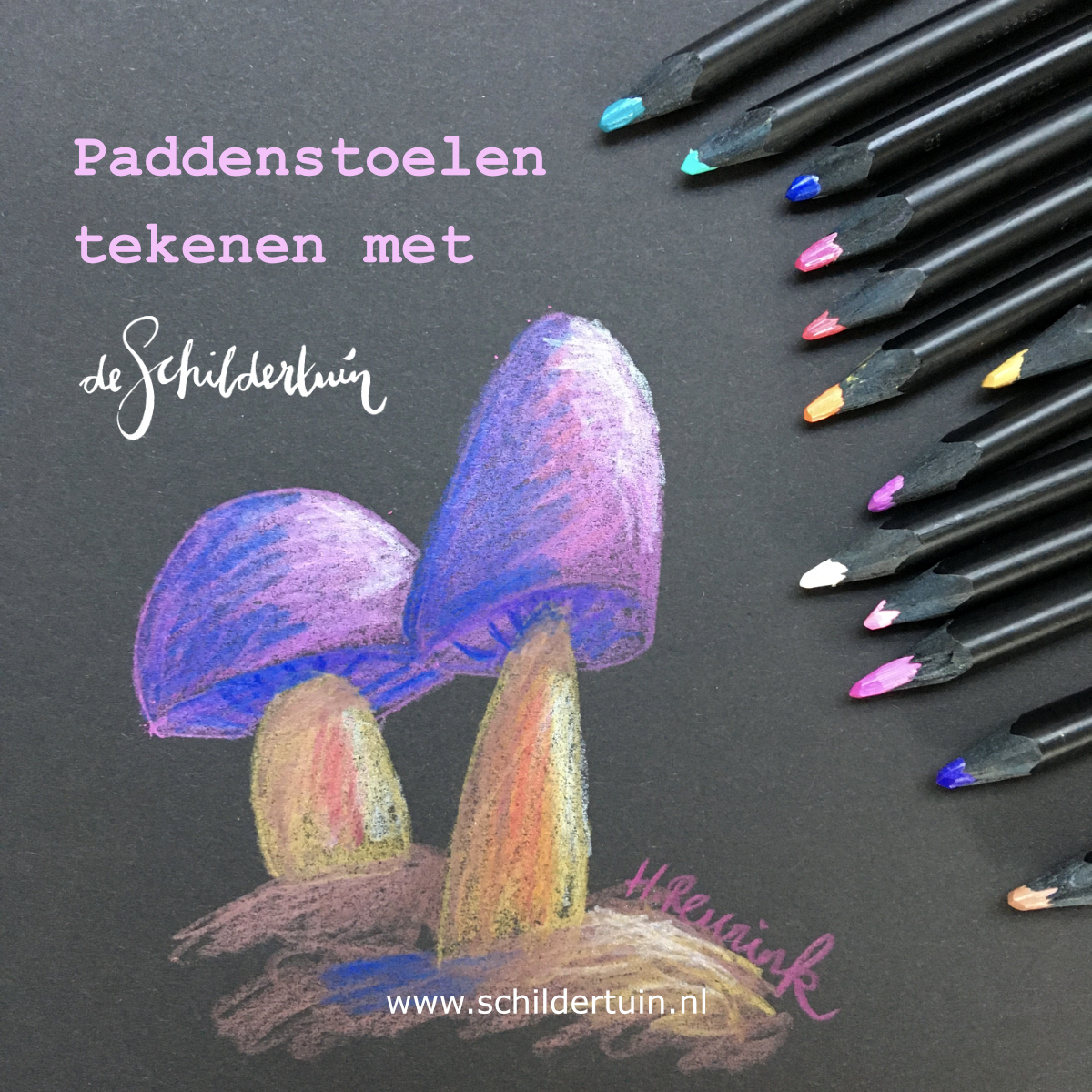 Vaker tekenen of schilderen? Meld je aan en ontvang 1x per maand GRATIS een nieuwe creatieve opdracht in je mailbox. Foto van handgetekende paddenstoelen op zwart papier met kleurpotloden, een creatieve opdracht van de Schildertuin