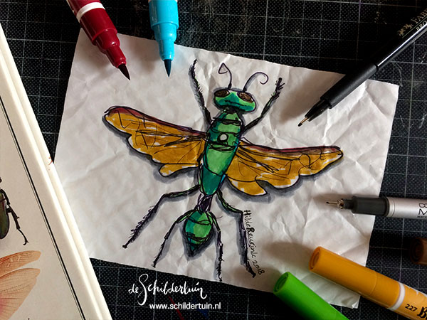 tekening van een Chlorion lobatum (jaagwesp)