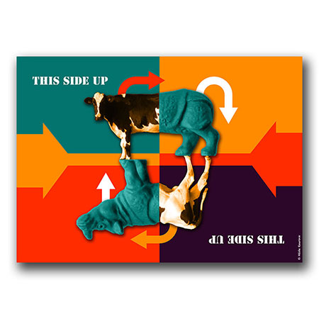 kinderkamer schilderij fotocollage met mix van koe en neushoorn