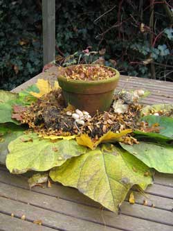 foto zelf gemaakte herfstkrans met natuurlijke materialen