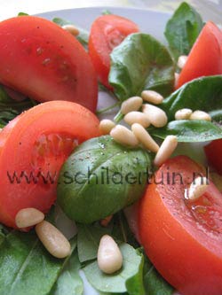 tomatensalade met basilicum, foto Hilde Reurink Foto van een tomatensalade
