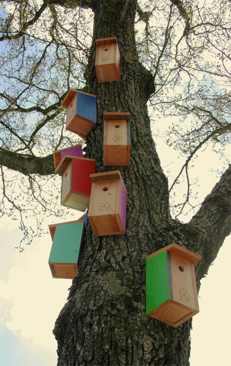 foto van gekleurde vogelhuisjes in boom in Zwolle