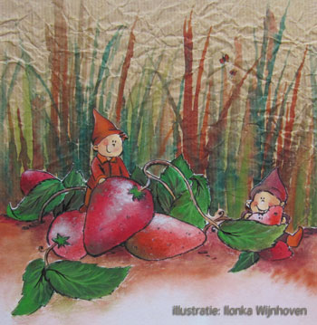 aardbeien-en-kabouters