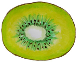 illustratie kiwi