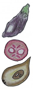 illustratie tropisch fruit