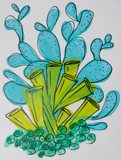 tekening van vetplanten