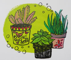 pentekening van vetplanten